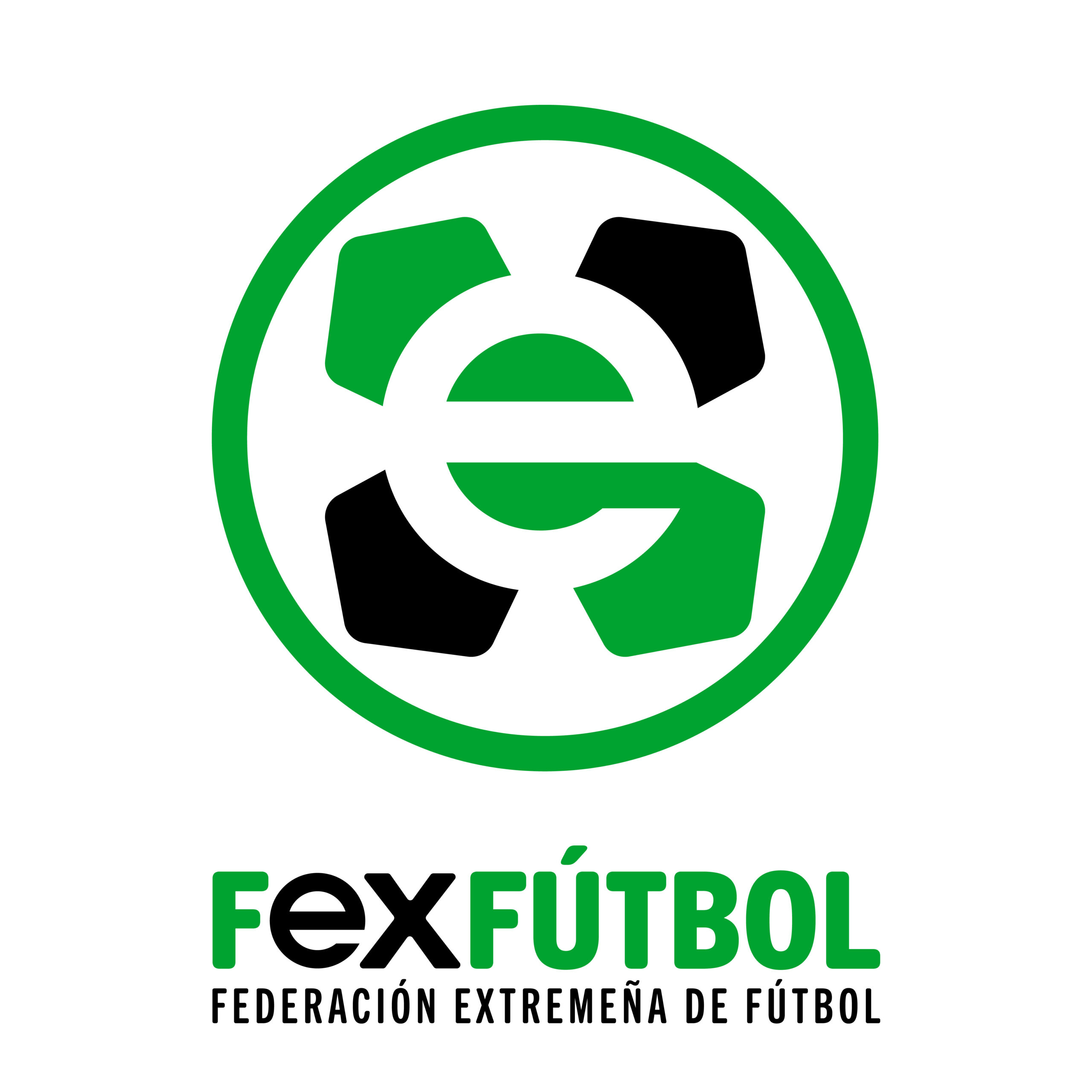 JUNTA EXTR DGD - LOGO